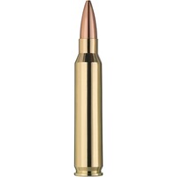.223 Rem. Scorion 4,5g/69grs., RWS