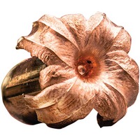 .243 Win. Copper Impact 5,5/85grs., Winchester