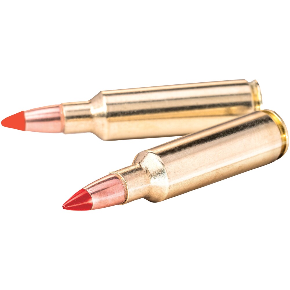 .300 Win. Mag. Copper Impact 9,72g/150grs., Winchester