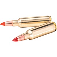 .300 Win. Mag. Copper Impact 9,72g/150grs., Winchester