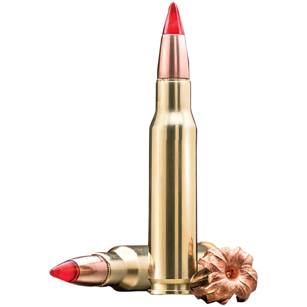 .300 Win. Mag. Copper Impact 9,72g/150grs., Winchester