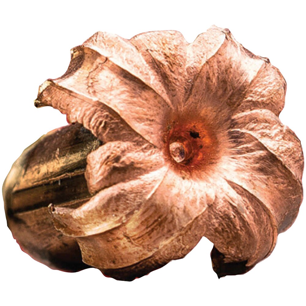 .300 Win. Mag. Copper Impact 9,72g/150grs., Winchester