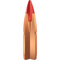 .300 Win. Mag. Copper Impact 9,72g/150grs., Winchester