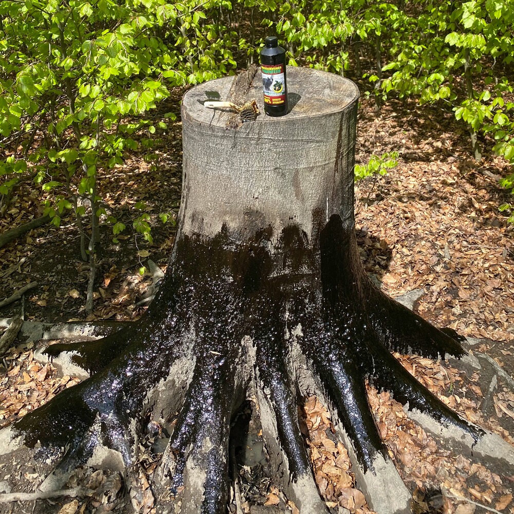 Attractant pine tar, Wildlutscher