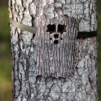 Wildkamera DTC 460, Minox