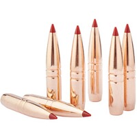 Geschoss .308 (7,62 mm) 10,7g/165grs. CX, Hornady