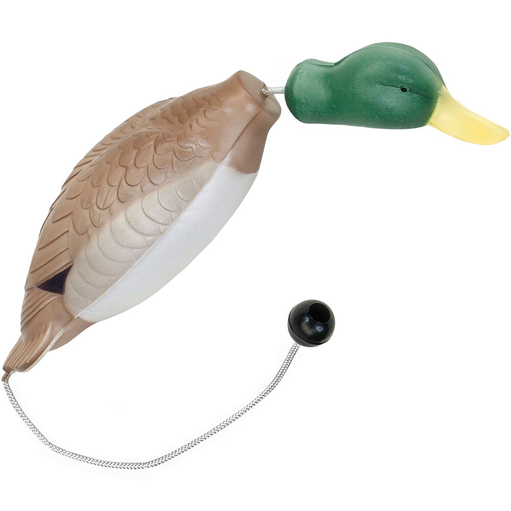 Entendummy