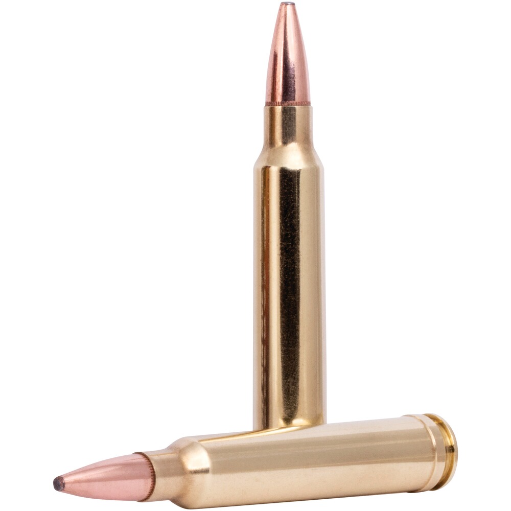 .300 Win. Mag. Fusion 11.6g/180grs., Federal Ammunition