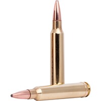 .300 Win. Mag. Fusion 11.6g/180grs., Federal Ammunition