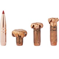 Geschoss .308 (7,62 mm) 10,7g/165grs. CX, Hornady