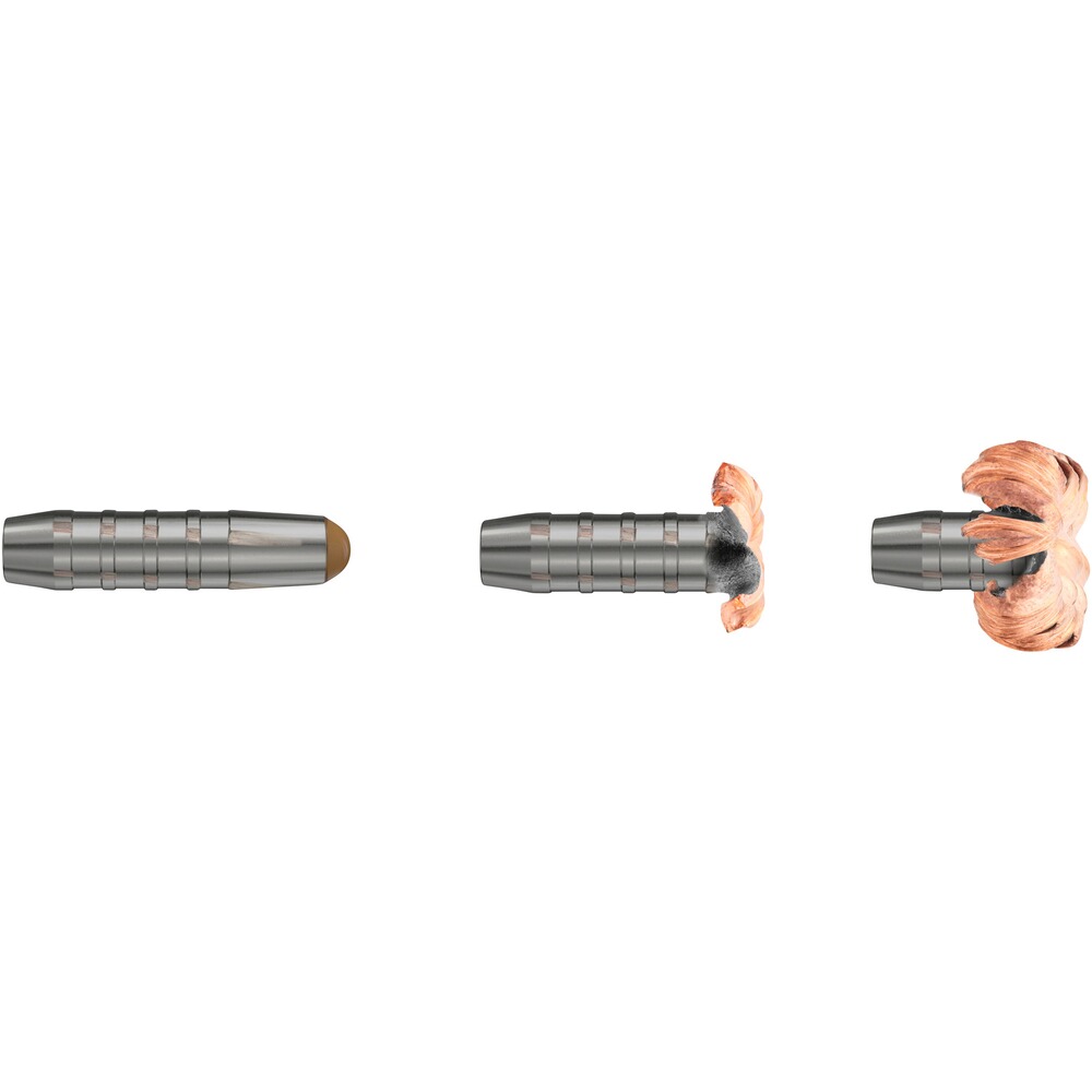 .30-06 Spr. Driven Hunt Short Rifle 9.7g/150grs., RWS