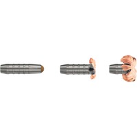 .30-06 Spr. Driven Hunt Short Rifle 9.7g/150grs., RWS