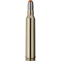.300 Win. Mag. Driven Hunt 10,7g/165grs., RWS