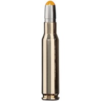 .300 Win. Mag. Driven Hunt 10,7g/165grs., RWS