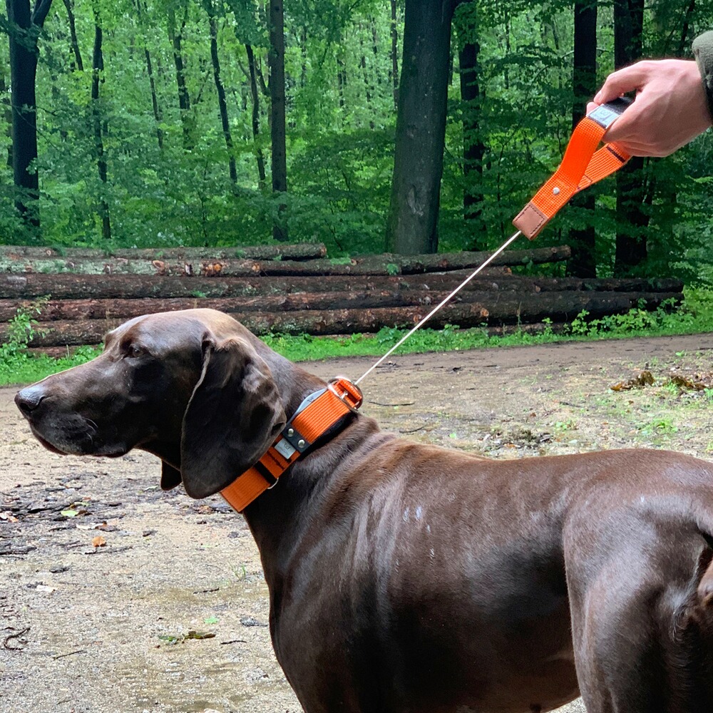 Hundehalsband Professional, WowWow