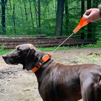 Hundehalsband Professional, WowWow