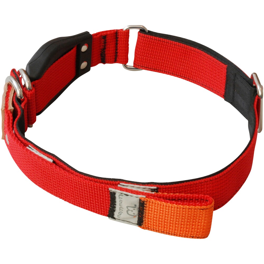 Hundehalsband Professional, WowWow