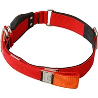 Hundehalsband Professional, WowWow