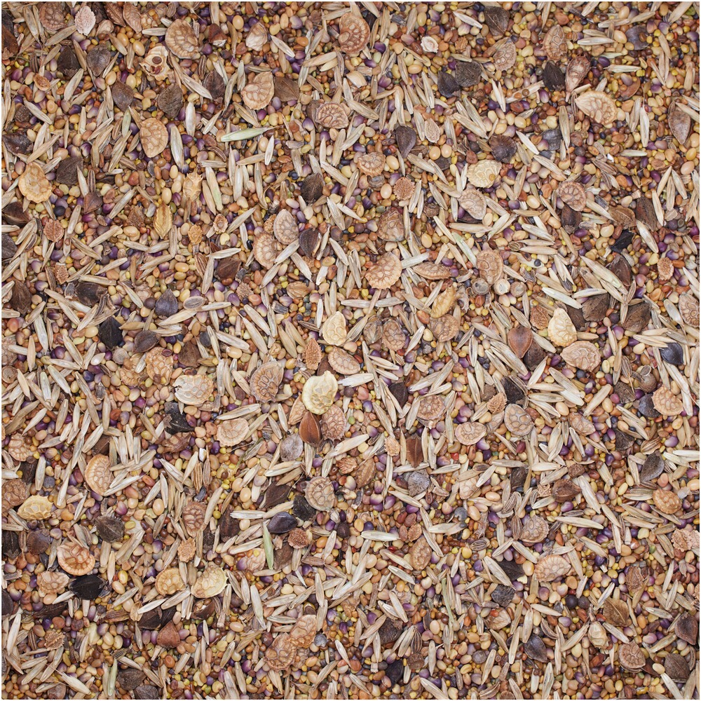 Seed mixture WaidGreen® Wildacker Stammtisch, BSV Saaten