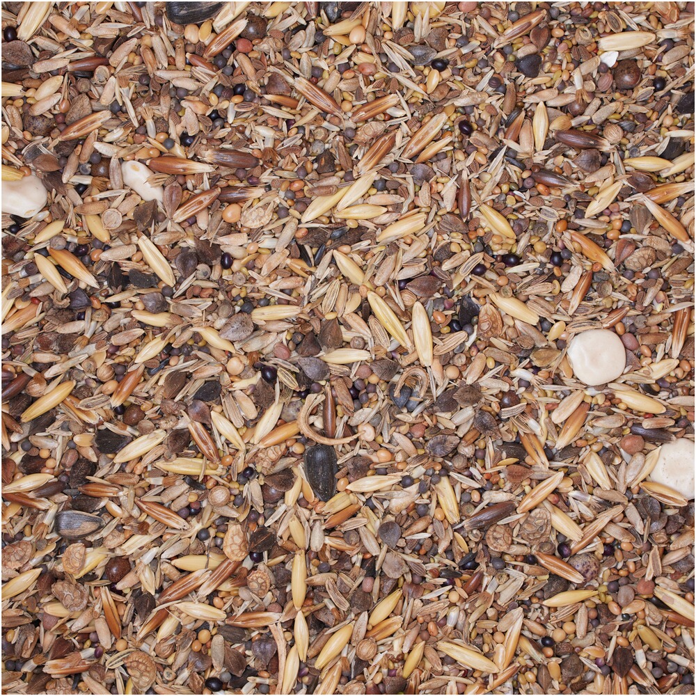Mélange de semences Mélange pionnier forestier WaidGreen®, BSV Saaten