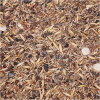 Mélange de semences Mélange pionnier forestier WaidGreen®, BSV Saaten