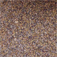 Saatenmischung WaidGreen® Leguminosenmischung, BSV Saaten