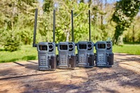 Wildkamera Link-Micro-LTE mit Zubehör – 4er-Set, Spypoint