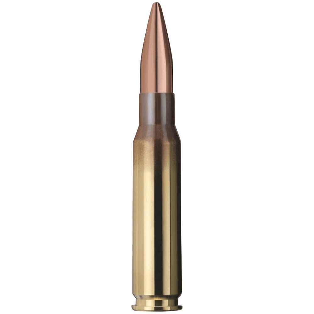 .308 Win. Target HP 10,9g/168grs., Geco