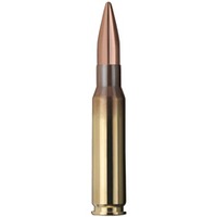 .308 Win. Target HP 10,9g/168grs., Geco