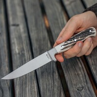 Jagdnicker Capreolus, Parforce