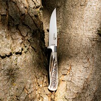 Jagdnicker Capreolus, Parforce