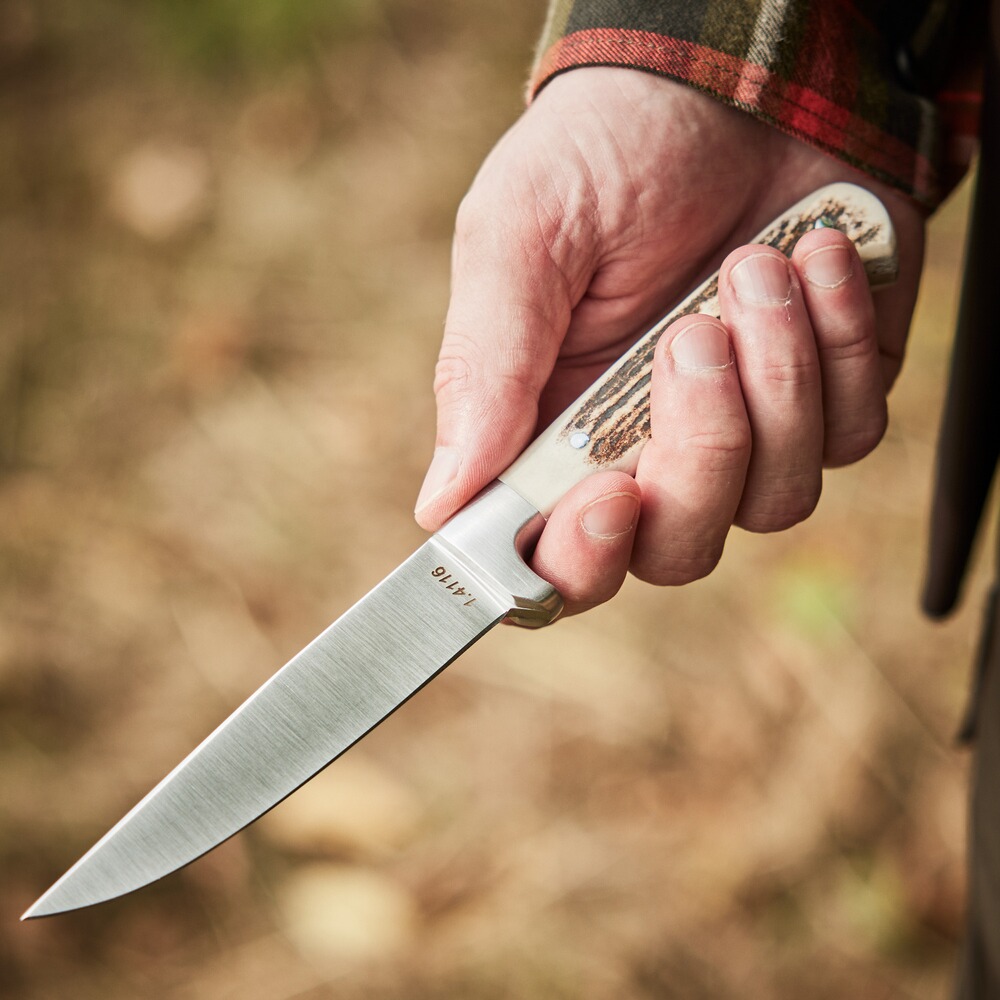Jagdnicker Capreolus, Parforce