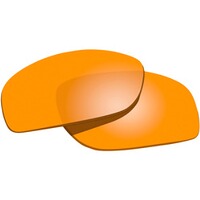 Ersatzgläser für WX SAINT, WileyX