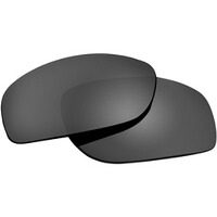 Ersatzgläser für WX SAINT, WileyX