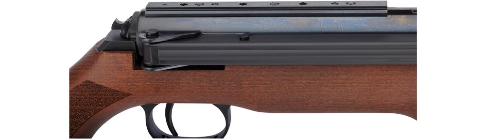 Luftgewehr 54 Airking Pro, Diana