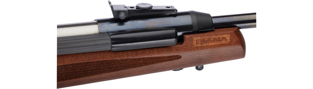 Luftgewehr 54 Airking Pro, Diana