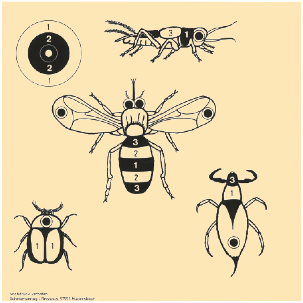 Schießscheibe Tiermotive – Set, braun-network