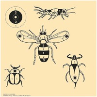 Schießscheibe Tiermotive – Set, braun-network