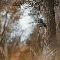Baumstativ für alle Spypoint Wildkameras, Spypoint