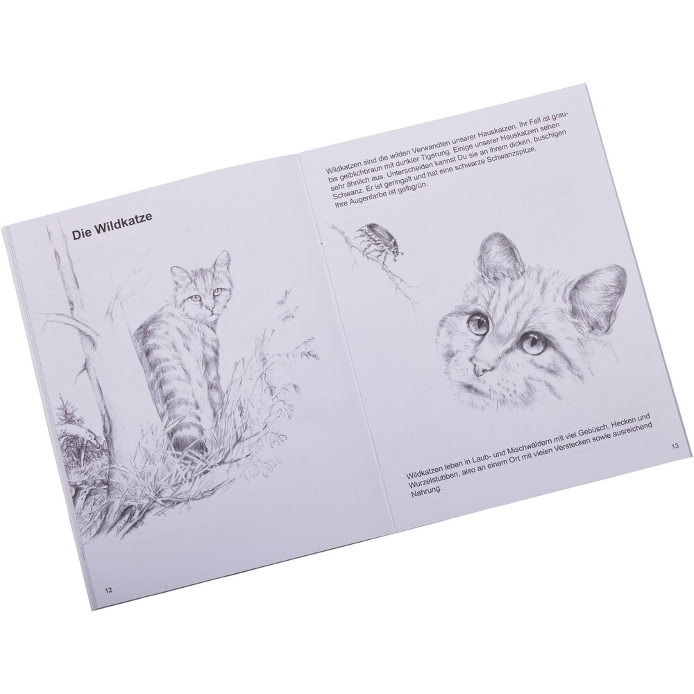 Book: Painting fun for little rangers III, Neumann Neudamm