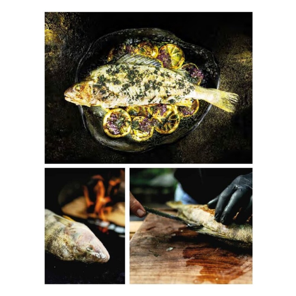 Livre : Gibier grillé, HEEL Verlag