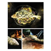 Livre : Gibier grillé, HEEL Verlag