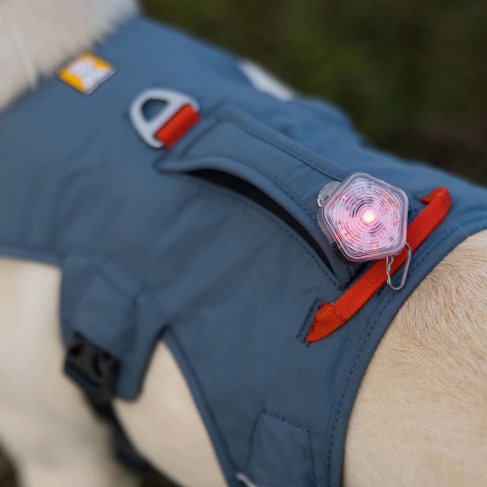 Webmaster sur le harnais pour chien, Ruffwear