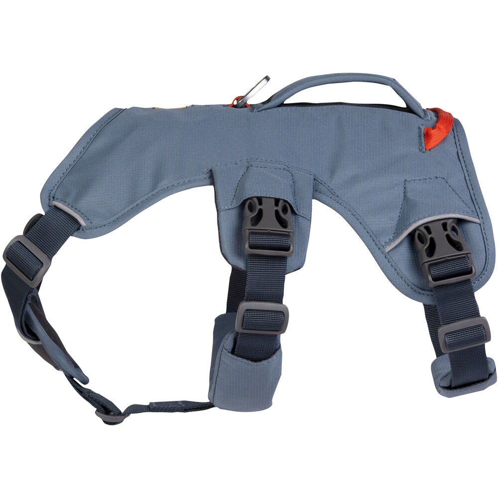 Webmaster sur le harnais pour chien, Ruffwear