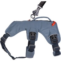 Webmaster sur le harnais pour chien, Ruffwear