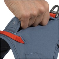 Webmaster sur le harnais pour chien, Ruffwear