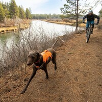 Dog Harness Web Master, Ruffwear
