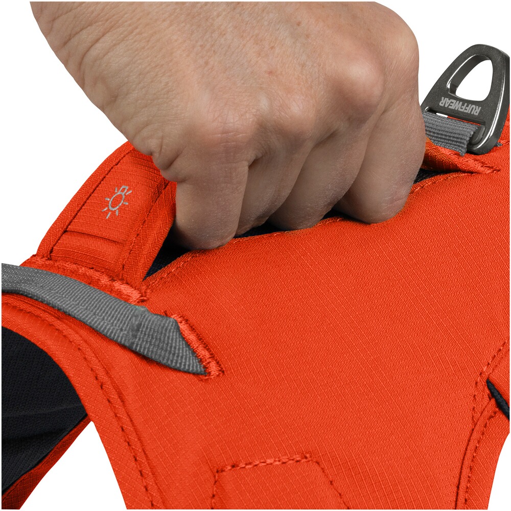 Dog Harness Web Master, Ruffwear