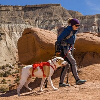 Dog Harness Web Master, Ruffwear