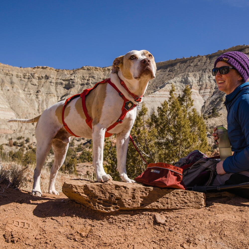 Dog Harness Web Master, Ruffwear